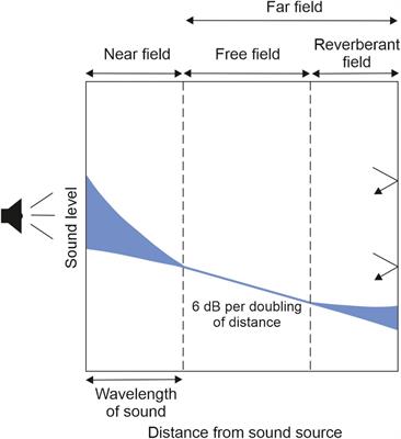 Integration of somatosensory and motor-related information in the auditory system